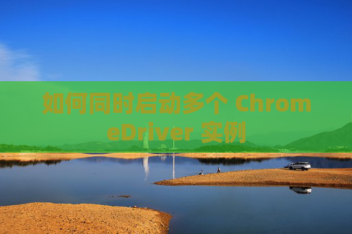 如何同时启动多个 ChromeDriver 实例